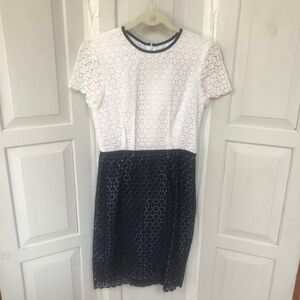Calvin Klein Blue & White Lace Short Sleeve Cotton Dress